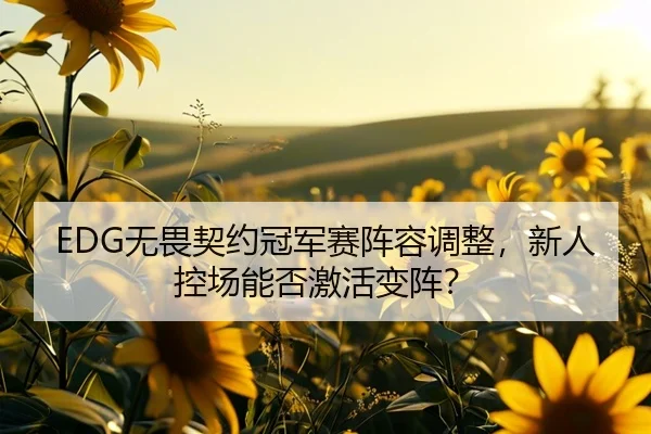EDG无畏契约冠军赛阵容调整，新人控场能否激活变阵？