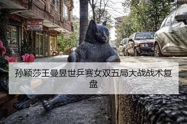 sun-ying-sha-wang-man-yu-shi-ping-sai-nv-shuang-wu-ju-da-zhan-zhan-shu-fu-pan-2-479.jpg
